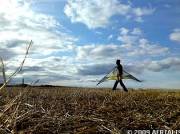 Nitvana in the fields