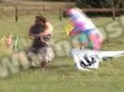 Get that kite down!